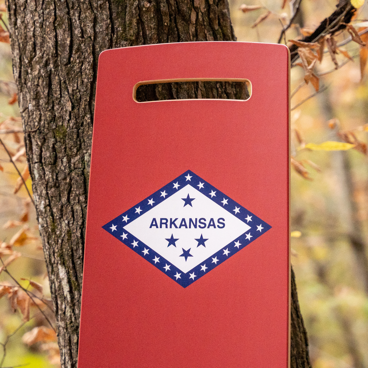 Arkansas Flag